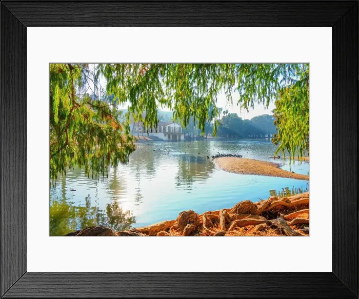 Framed Print : Tranquil scene featuring a peaceful lake surrounded by lush greenery Framed Print : Tranquil scene featuring a peaceful lake surrounded by lush greenery
