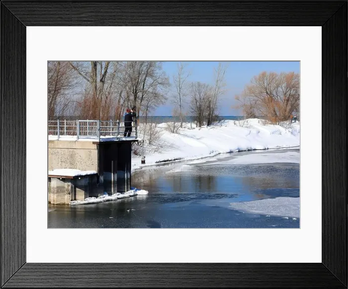 Framed Print : Irondequoit, NY, USA - February 22nd 2025 - Bird photographer captures images of bald eagles flying over Lake Ontario's Framed Print : Irondequoit, NY, USA - February 22nd 2025 - Bird photographer captures images of bald eagles flying over Lake Ontario's