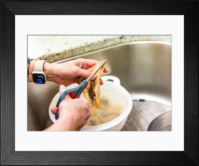 Framed Print : Cleaning Pacific Razor Clams harvested on Mocrocks Beach, Pacific Ocean, Washington State, USA