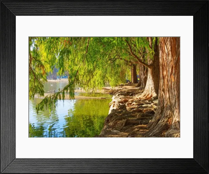 Framed Print : Tranquil scene by the river in Riverside Framed Print : Tranquil scene by the river in Riverside