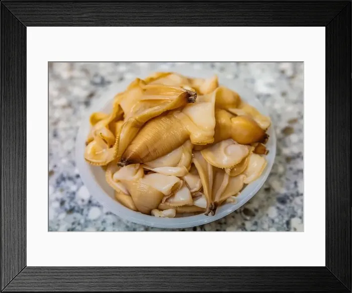 Framed Print : Pacific Razor Clams harvested on Mocrocks Beach, cleaned and prepared for frying, Pacific Ocean, Washington State, USA Framed Print : Pacific Razor Clams harvested on Mocrocks Beach, cleaned and prepared for frying, Pacific Ocean, Washington State, USA