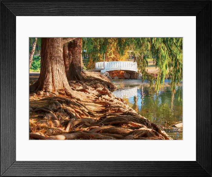 Framed Print : Scenic view of a pond adorned with tree roots, featuring a quaint bridge in the background among serene surroundings Framed Print : Scenic view of a pond adorned with tree roots, featuring a quaint bridge in the background among serene surroundings