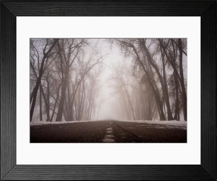 Framed Print : Tree lined road on a foggy morning after a snow storm Framed Print : Tree lined road on a foggy morning after a snow storm