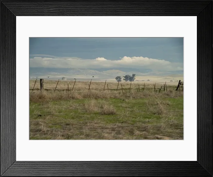 Framed Print : Birds soar over a rural fence line near the foothills of the Sierra Nevada Framed Print : Birds soar over a rural fence line near the foothills of the Sierra Nevada