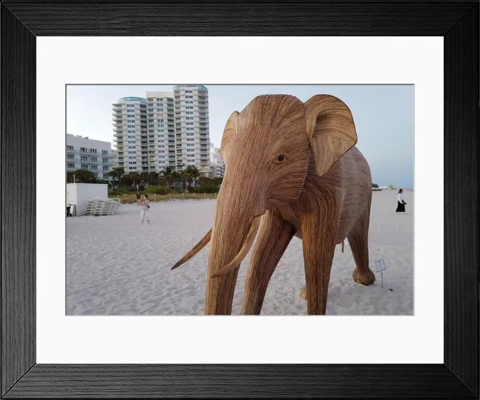 Framed Print : The Great Elephant Migration is a captivating public art installation that graced Miami Beach in fall Framed Print : The Great Elephant Migration is a captivating public art installation that graced Miami Beach in fall
