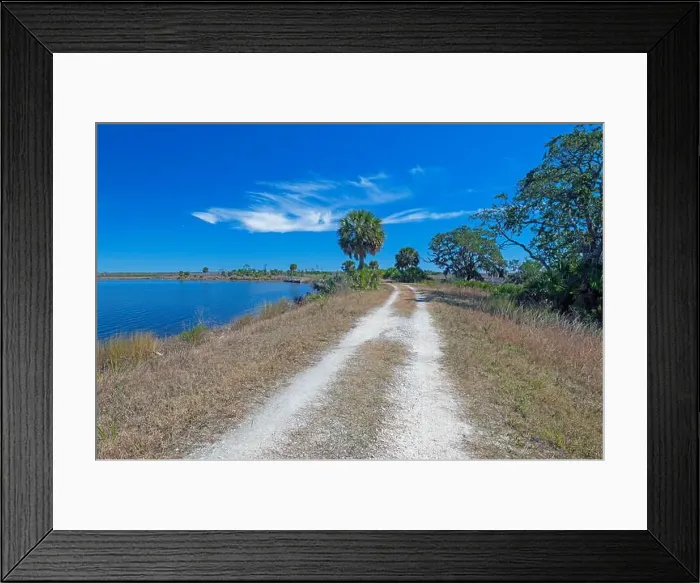 Framed Print : Levee Road in a Southern Wildlife Refuge in St Marks National Wildlife Refuge in Florida Framed Print : Levee Road in a Southern Wildlife Refuge in St Marks National Wildlife Refuge in Florida
