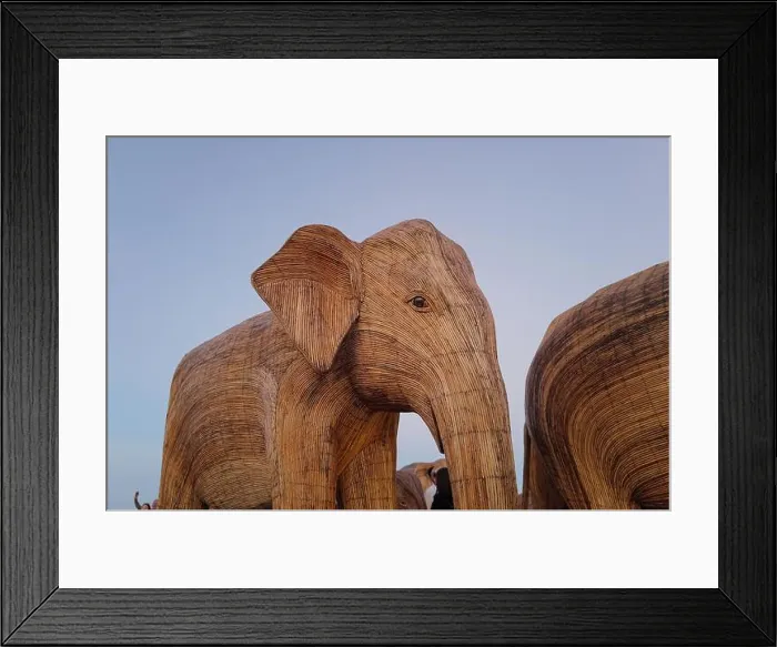 Framed Print : The Great Elephant Migration is a captivating public art installation that graced Miami Beach in fall Framed Print : The Great Elephant Migration is a captivating public art installation that graced Miami Beach in fall