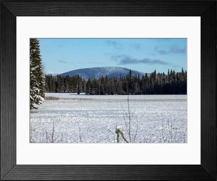 Framed Print : Moose standing in a snowy field with a mountain in the background on a sunny autumn day in Delta Junction, Alaska Framed Print : Moose standing in a snowy field with a mountain in the background on a sunny autumn day in Delta Junction, Alaska