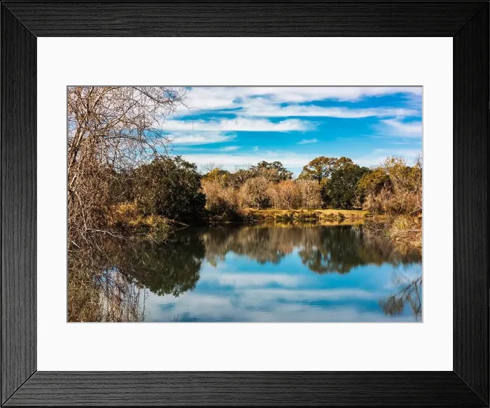 Framed Print : Brazos Bend State Park, Texas, in a beautiful sunny morning Framed Print : Brazos Bend State Park, Texas, in a beautiful sunny morning