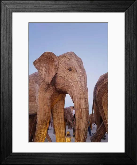 Framed Print : The Great Elephant Migration is a captivating public art installation that graced Miami Beach in fall