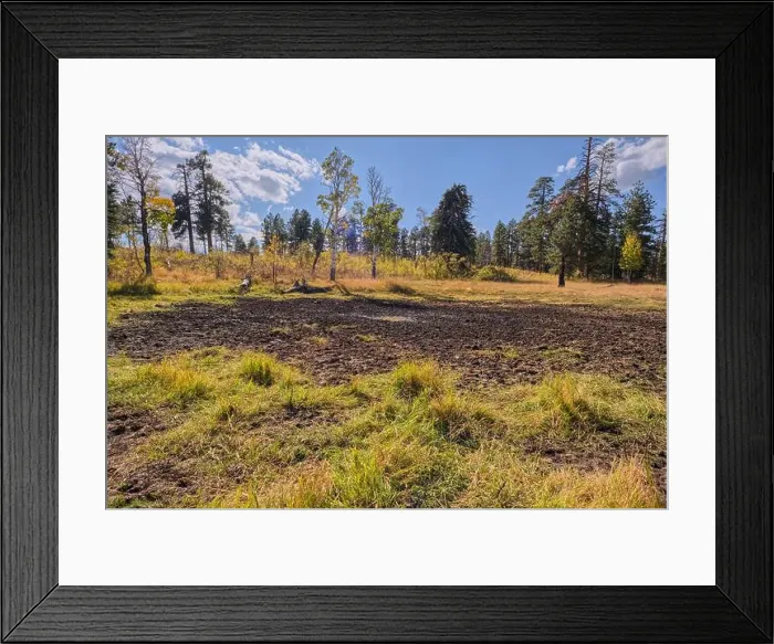 Framed Print : Greenland Lake reduced to a mud hole, Grand Canyon North Rim, UNESCO, Arizona, United States of America Framed Print : Greenland Lake reduced to a mud hole, Grand Canyon North Rim, UNESCO, Arizona, United States of America