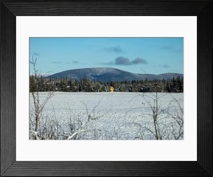 Framed Print : Sun shining on wood cabin in trees Framed Print : Sun shining on wood cabin in trees