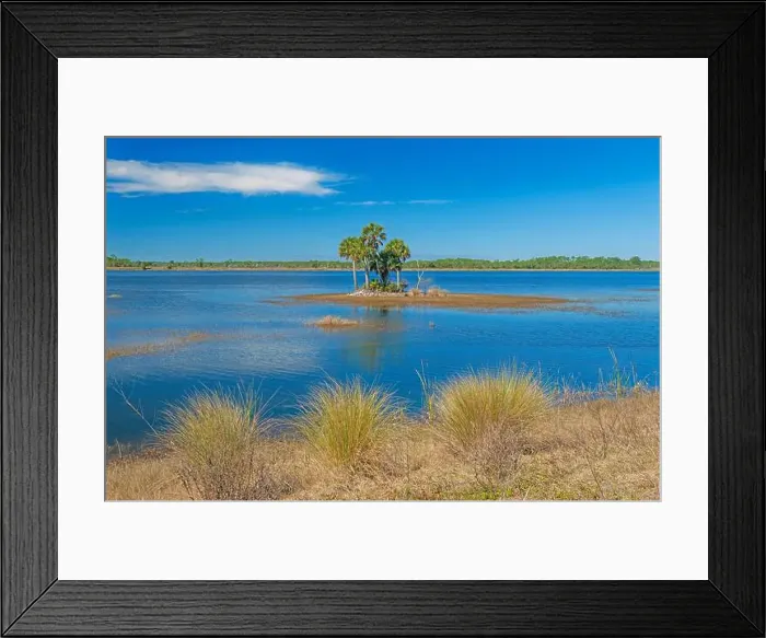 Framed Print : Serene Vista in a Wildlife Refuge Wetland in St Marks National Wildlife Refuge in Florida Framed Print : Serene Vista in a Wildlife Refuge Wetland in St Marks National Wildlife Refuge in Florida