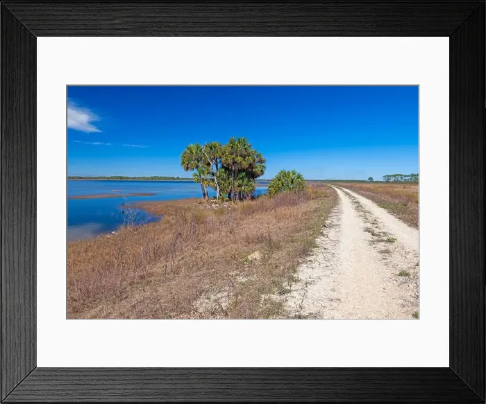 Framed Print : Road and Levee Through a Wildlife Refuge in St Marks National Willdife Refuge in Florida Framed Print : Road and Levee Through a Wildlife Refuge in St Marks National Willdife Refuge in Florida