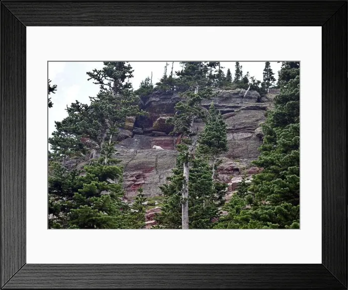 Framed Print : Mountain Goat Framed Print : Mountain Goat