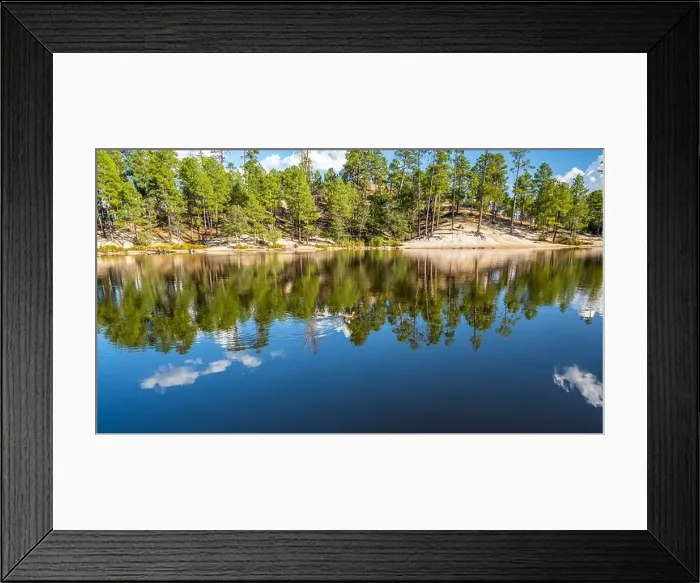 Framed Print : A Mallard in Tucson, Arizona Framed Print : A Mallard in Tucson, Arizona