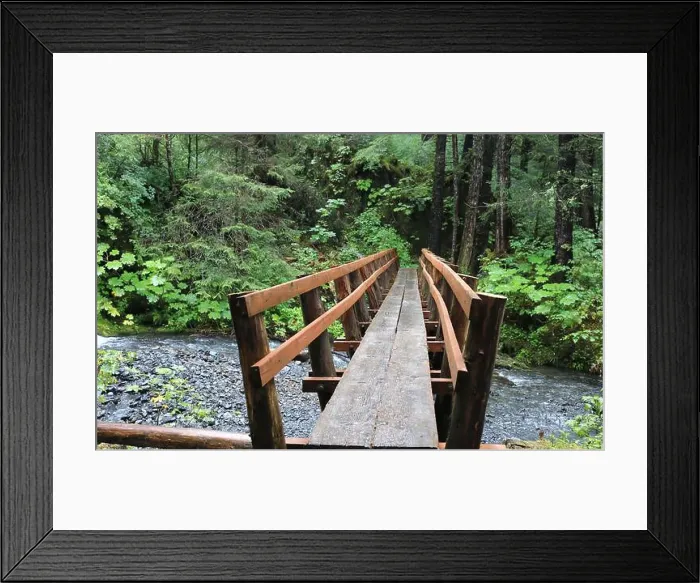 Framed Print : Hiking trails of Sitka Framed Print : Hiking trails of Sitka