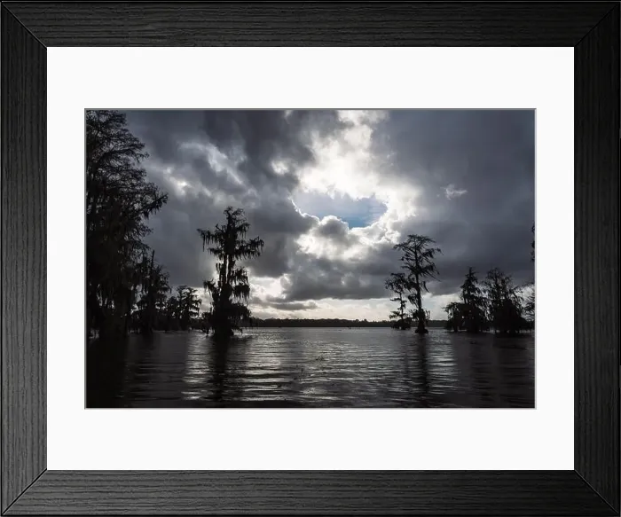 Framed Print : Swamp tour on a boat near Lafayette, Luisiana Framed Print : Swamp tour on a boat near Lafayette, Luisiana