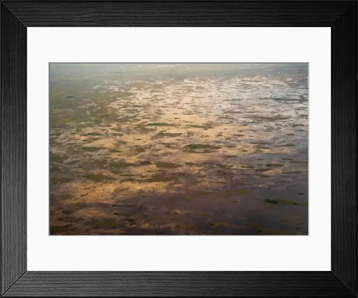 Framed Print : An Aerial view of Everglades National Park, Florida, United States Framed Print : An Aerial view of Everglades National Park, Florida, United States