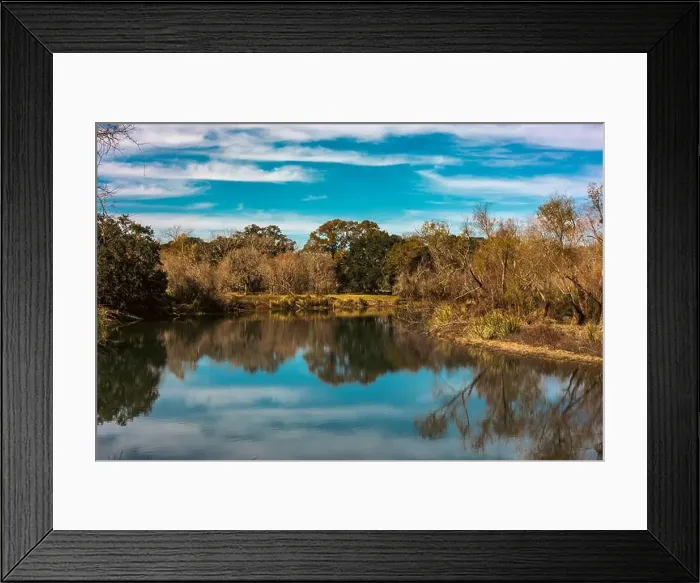 Framed Print : Brazos Bend State Park, Texas, in a beautiful sunny morning Framed Print : Brazos Bend State Park, Texas, in a beautiful sunny morning