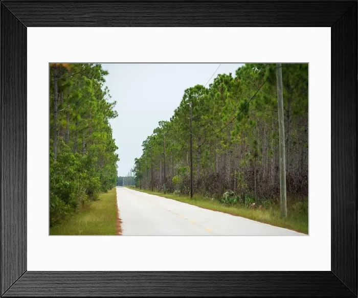 Framed Print : The Everglades National Park, Florida, United States Framed Print : The Everglades National Park, Florida, United States