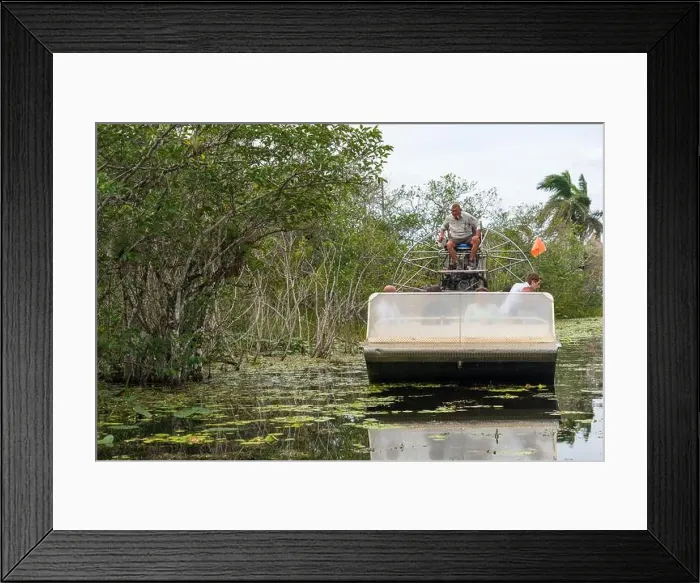 Framed Print : An Airboat Ride and Tour at Everglades National Park, Florida, United States Framed Print : An Airboat Ride and Tour at Everglades National Park, Florida, United States