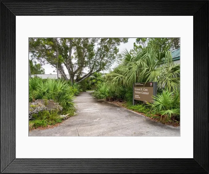 Framed Print : The Everglades National Park, Florida, United States Framed Print : The Everglades National Park, Florida, United States