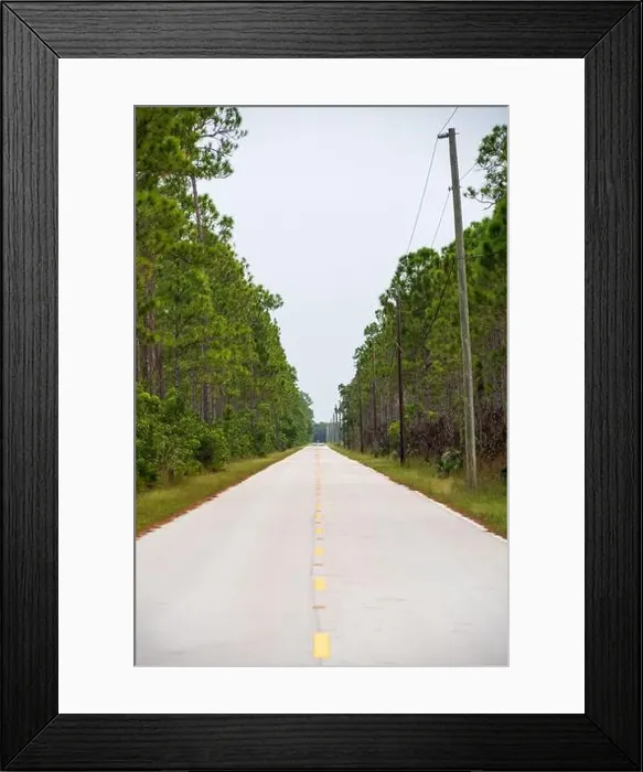 Framed Print : The Everglades National Park, Florida, United States Framed Print : The Everglades National Park, Florida, United States