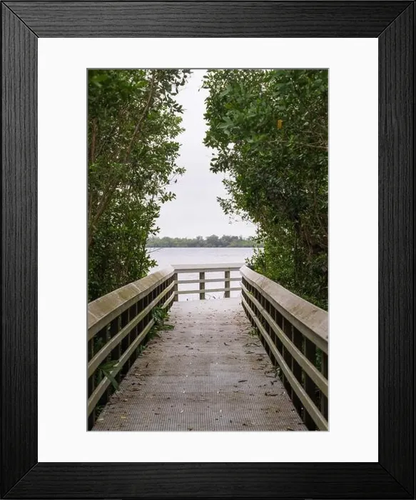 Framed Print : A Boardwalk at Everglades National Park, Florida, United States Framed Print : A Boardwalk at Everglades National Park, Florida, United States
