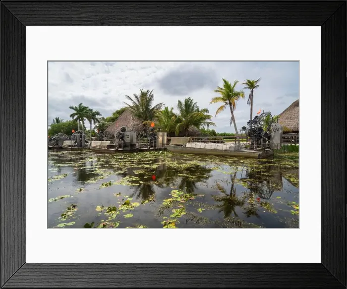Framed Print : The Everglades National Park, Florida, United States Framed Print : The Everglades National Park, Florida, United States