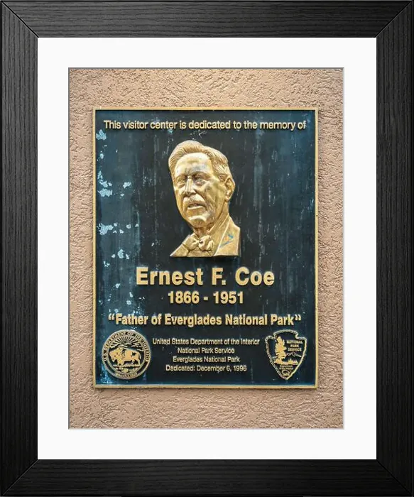Framed Print : The Everglades National Park, Florida, United States Framed Print : The Everglades National Park, Florida, United States