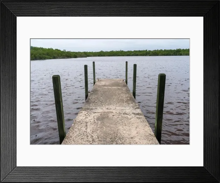 Framed Print : The Everglades National Park, Florida, United States Framed Print : The Everglades National Park, Florida, United States