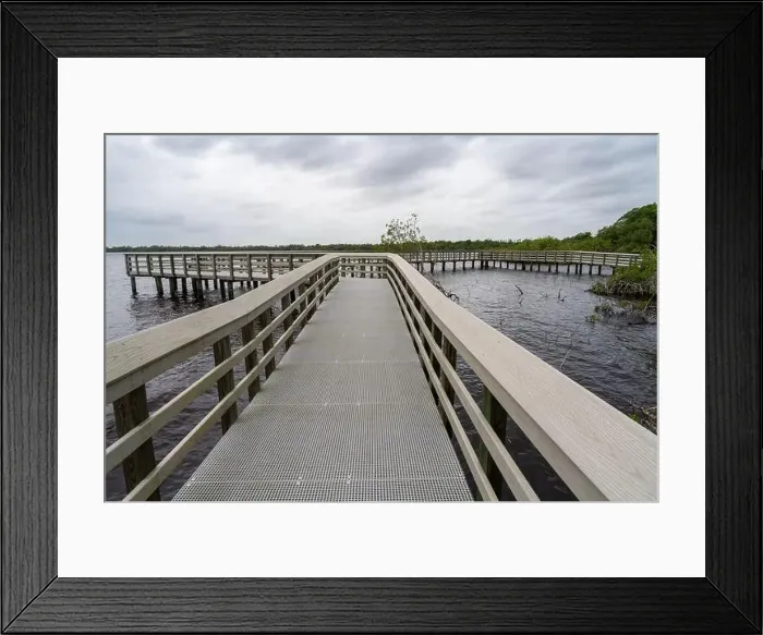 Framed Print : A Boardwalk at Everglades National Park, Florida, United States Framed Print : A Boardwalk at Everglades National Park, Florida, United States