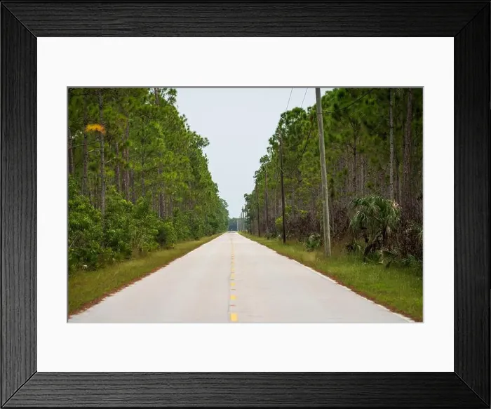 Framed Print : The Everglades National Park, Florida, United States Framed Print : The Everglades National Park, Florida, United States