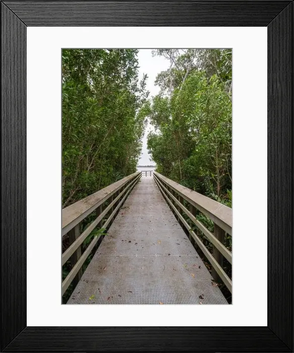 Framed Print : A Boardwalk at Everglades National Park, Florida, United States Framed Print : A Boardwalk at Everglades National Park, Florida, United States