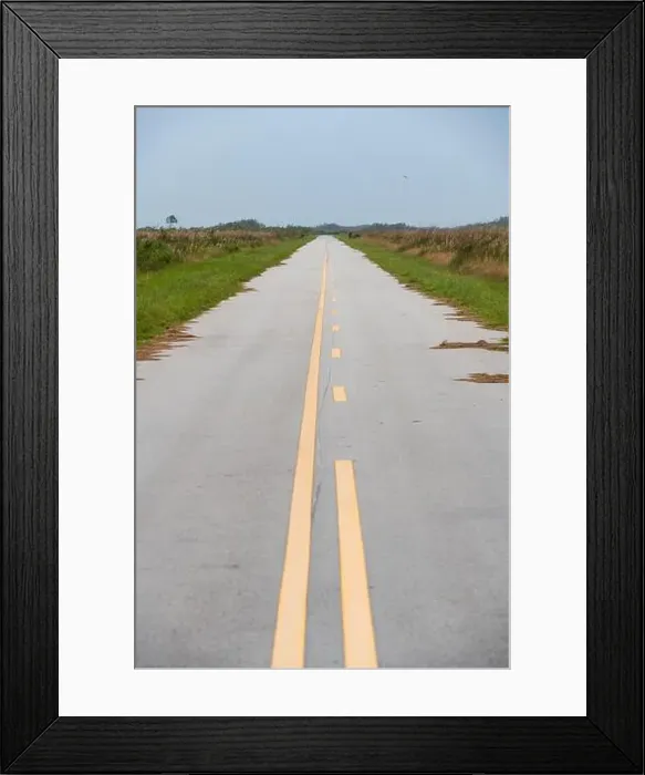 Framed Print : The Everglades National Park, Florida, United States Framed Print : The Everglades National Park, Florida, United States