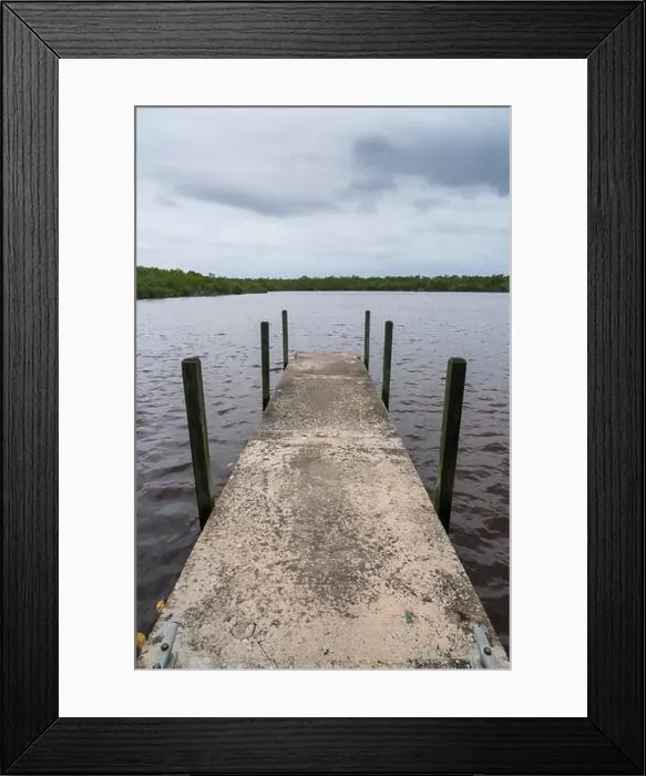 Framed Print : The Everglades National Park, Florida, United States Framed Print : The Everglades National Park, Florida, United States