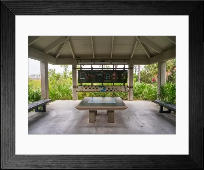 Framed Print : The Everglades National Park, Florida, United States Framed Print : The Everglades National Park, Florida, United States