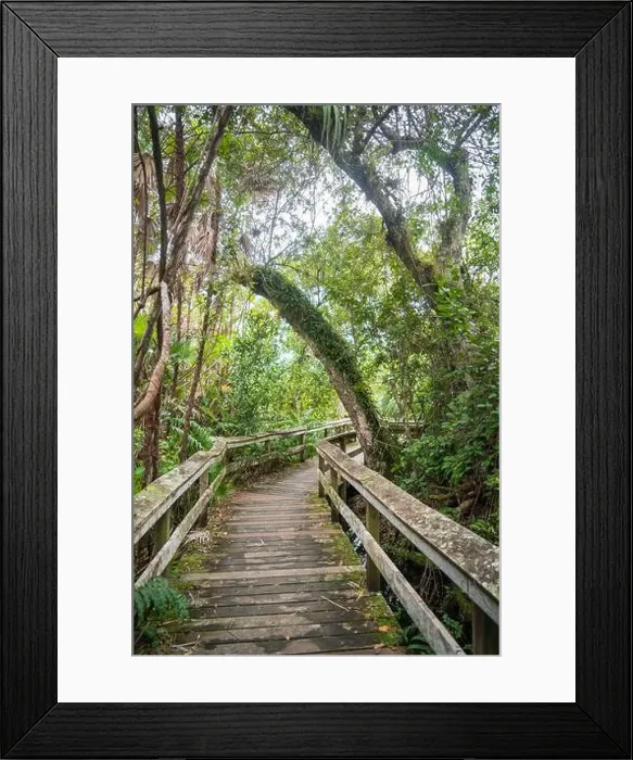 Framed Print : A Boardwalk at Everglades National Park, Florida, United States Framed Print : A Boardwalk at Everglades National Park, Florida, United States