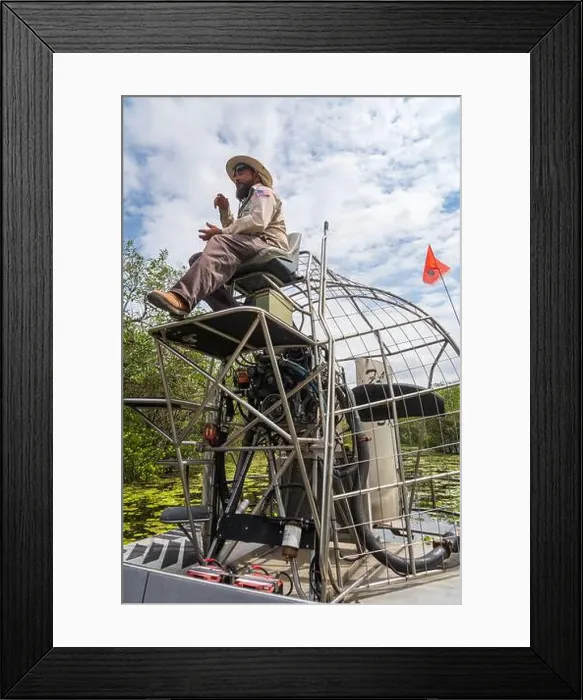 Framed Print : An Airboat Ride and Tour at Everglades National Park, Florida, United States Framed Print : An Airboat Ride and Tour at Everglades National Park, Florida, United States