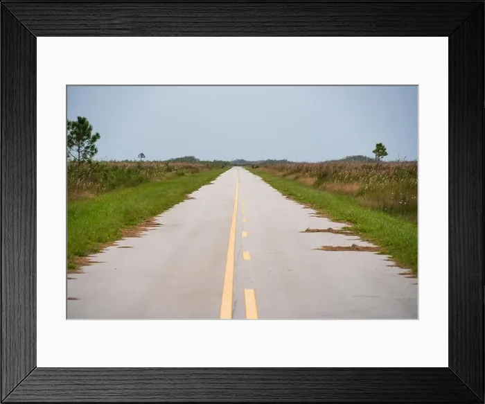 Framed Print : The Everglades National Park, Florida, United States Framed Print : The Everglades National Park, Florida, United States