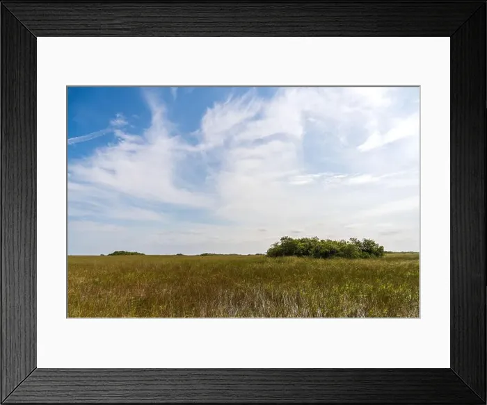 Framed Print : The Everglades National Park, Florida, United States Framed Print : The Everglades National Park, Florida, United States