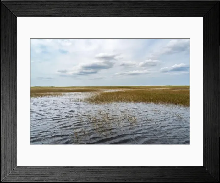 Framed Print : The Swamp land at Everglades National Park, Florida, United States Framed Print : The Swamp land at Everglades National Park, Florida, United States