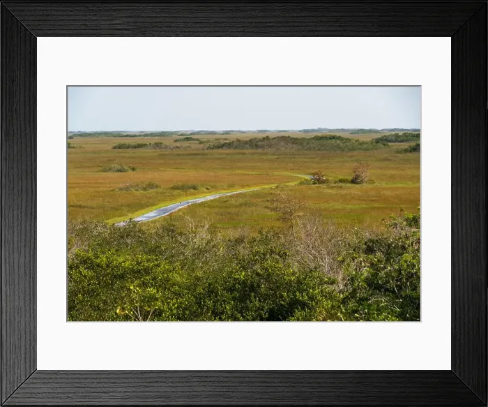 Framed Print : The Swamp land at Everglades National Park, Florida, United States Framed Print : The Swamp land at Everglades National Park, Florida, United States
