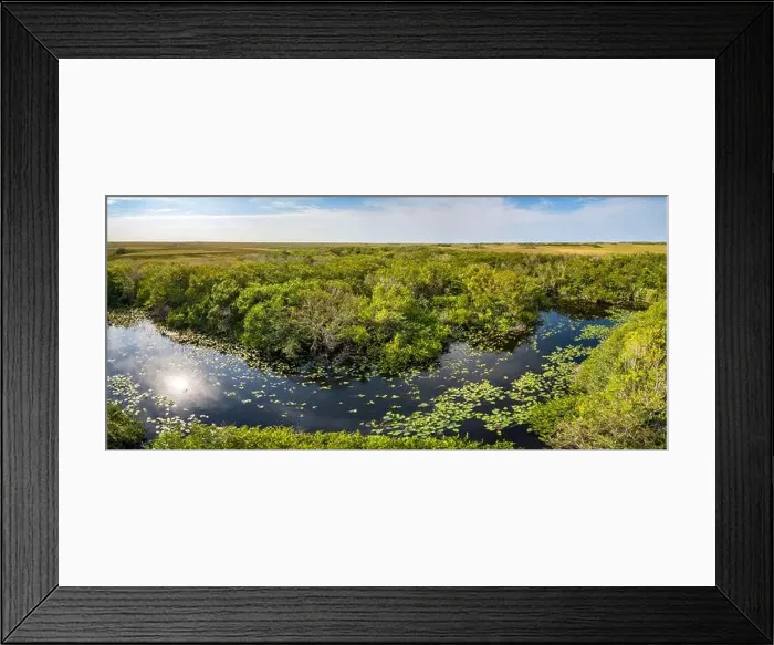 Framed Print : The Swamp land at Everglades National Park, Florida, United States Framed Print : The Swamp land at Everglades National Park, Florida, United States