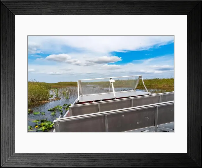 Framed Print : The Everglades National Park, Florida, United States Framed Print : The Everglades National Park, Florida, United States