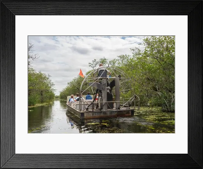 Framed Print : An Airboat Ride and Tour at Everglades National Park, Florida, United States