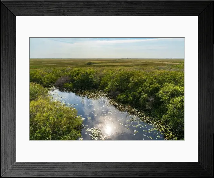 Framed Print : The Swamp land at Everglades National Park, Florida, United States Framed Print : The Swamp land at Everglades National Park, Florida, United States