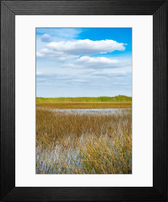 Framed Print : The Swamp land at Everglades National Park, Florida, United States Framed Print : The Swamp land at Everglades National Park, Florida, United States