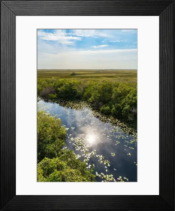 Framed Print : The Swamp land at Everglades National Park, Florida, United States Framed Print : The Swamp land at Everglades National Park, Florida, United States